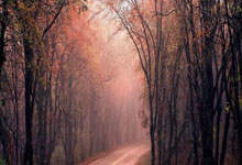 全红婵长个儿了？会不会影响成绩？全网都在操心的事儿有答案了北京青年报.